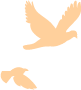 0.png